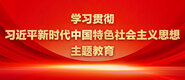 操逼插小B一摸奶子黄片学习贯彻习近平新时代中国特色社会主义思想主题教育_fororder_ad-371X160(2)